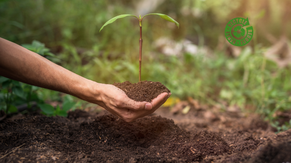 Cuidar do Meio Ambiente é cuidar da gente