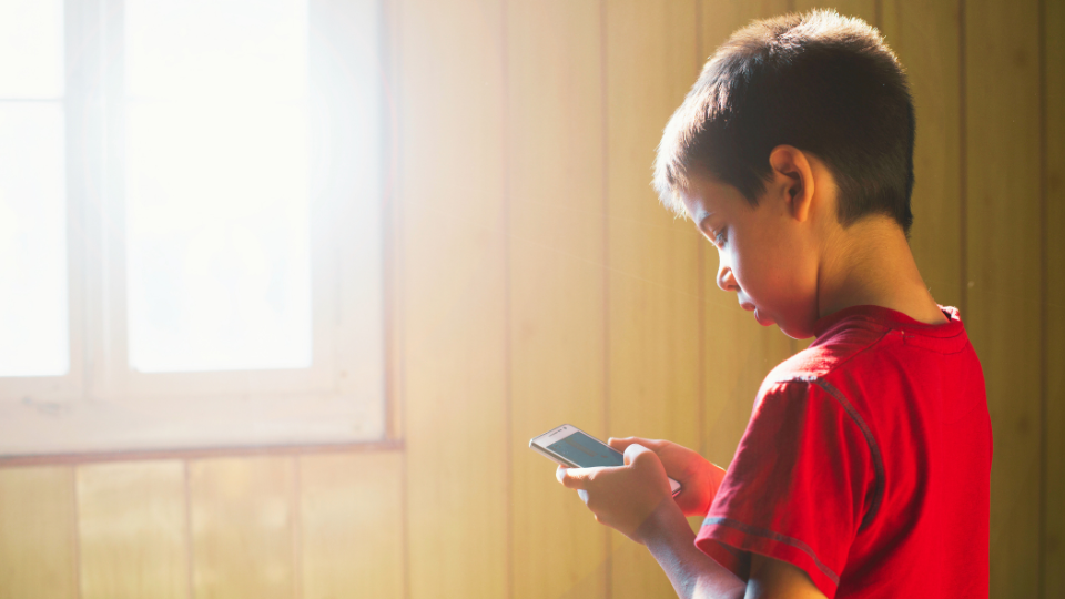 PL 2628 aprova medidas para remover conteúdos nocivos de forma proativa, com transparência e sanções.