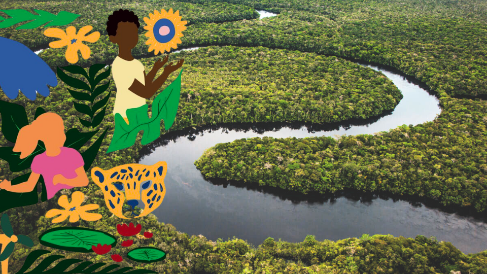 A COP30 começou em Belém (PA). Entenda os principais desafios das negociações climáticas e o papel do Brasil no evento global sobre o futuro do planeta.
